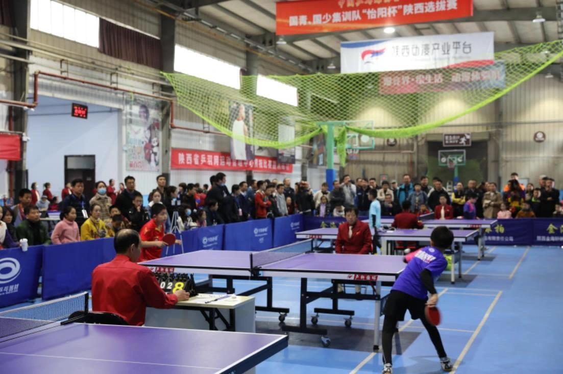 持稳定的 持稳定的