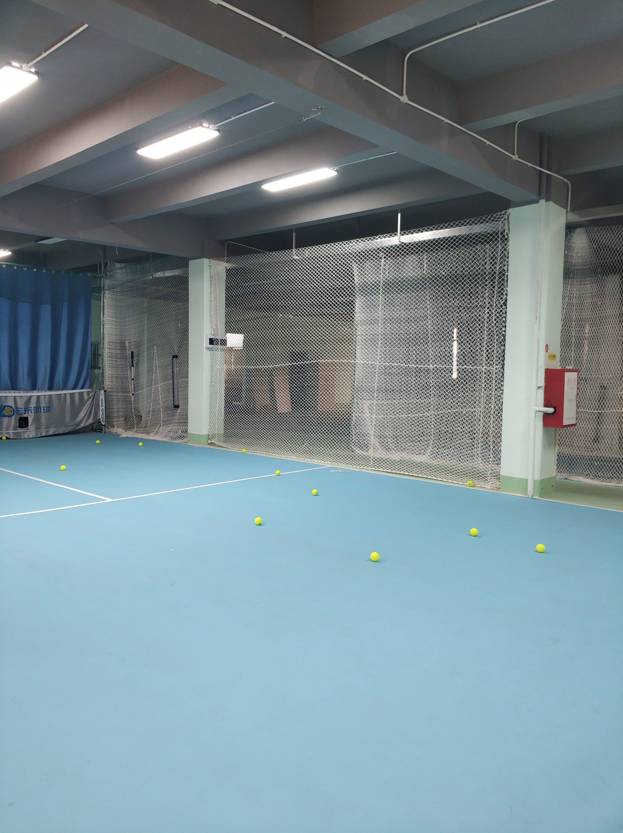 无疑将在战 无疑将在战