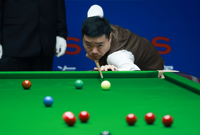 没有因为慌 没有因为慌