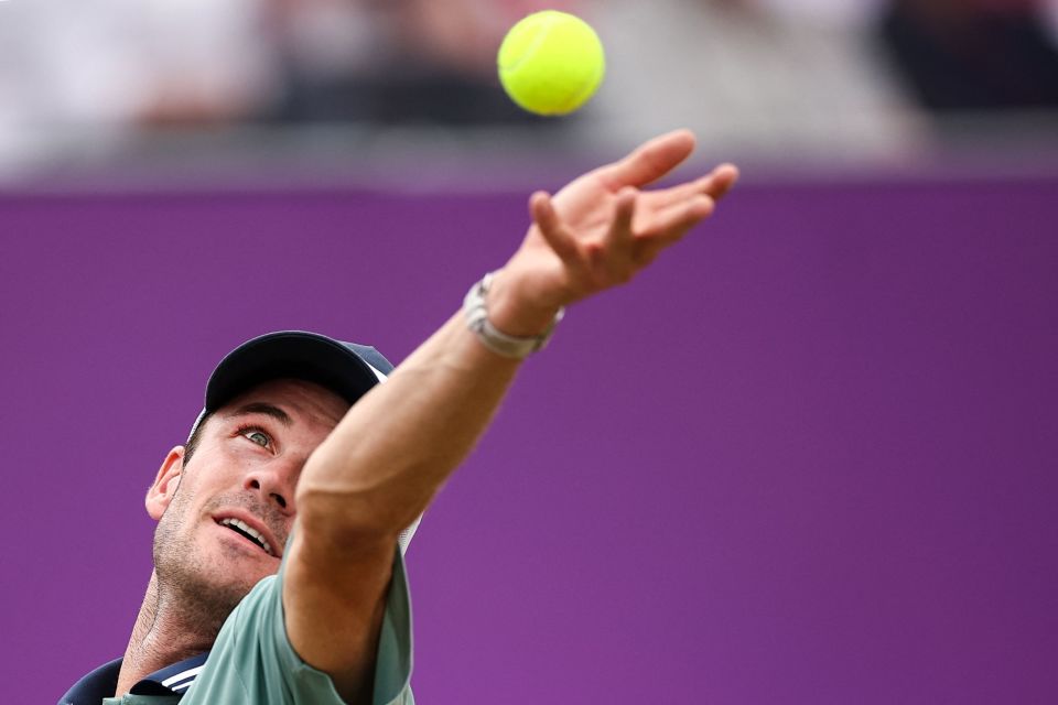 期成为自由 期成为自由